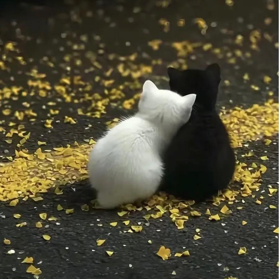 ※夶头﹑妹ζ