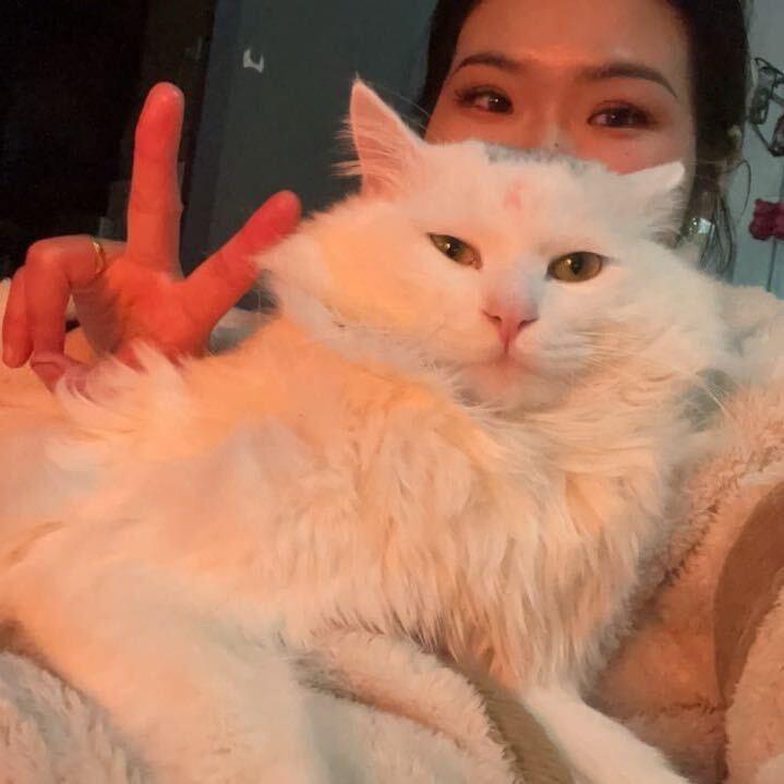 小萌不暴躁