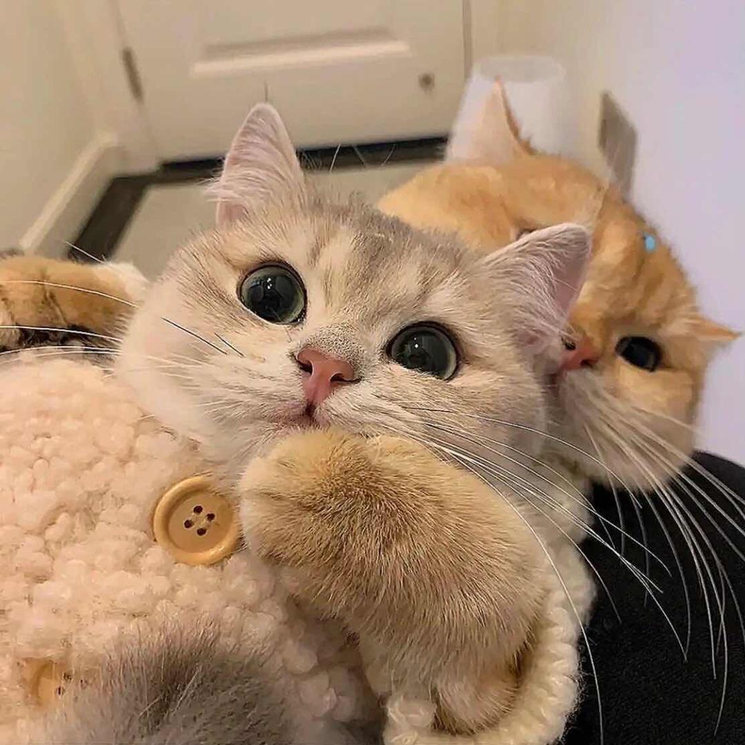 熹