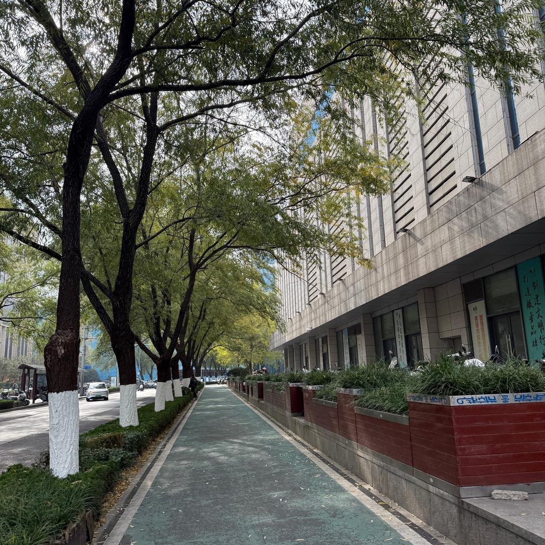 小刘的好物分享