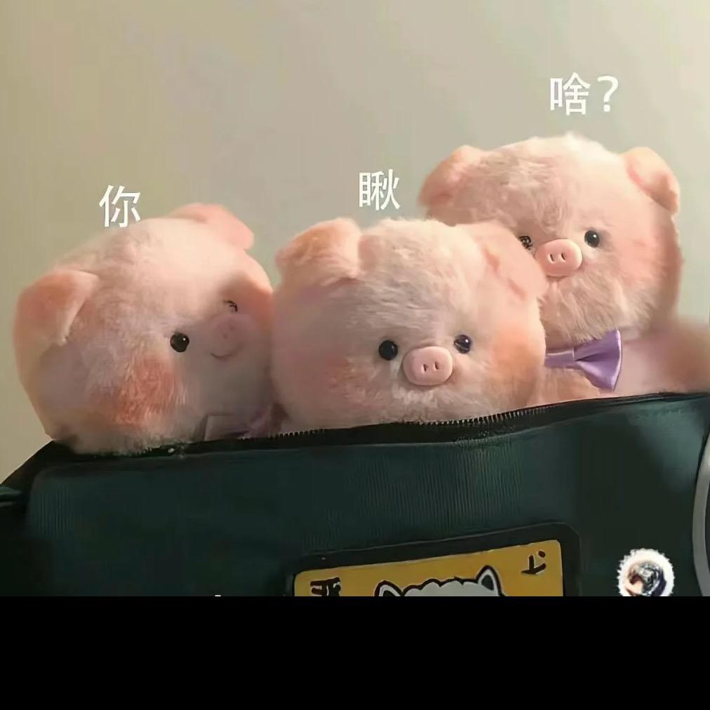 波妞是只猫🐱