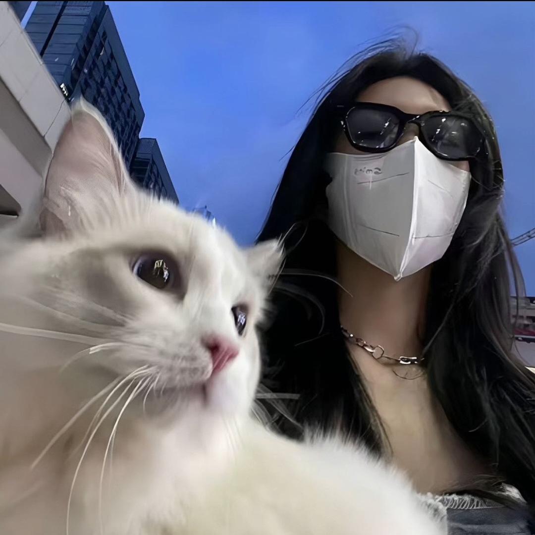 段段吖
