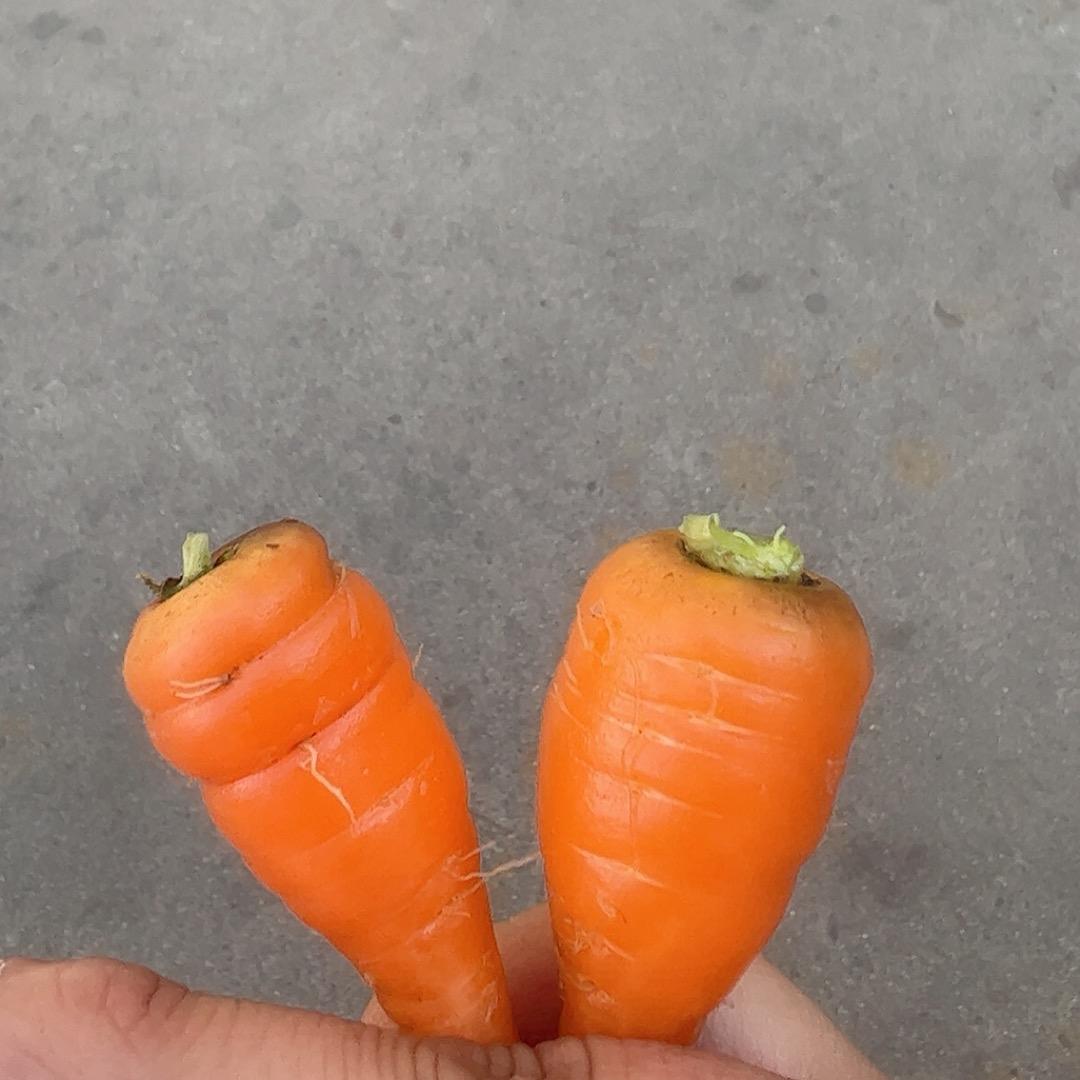 驰创