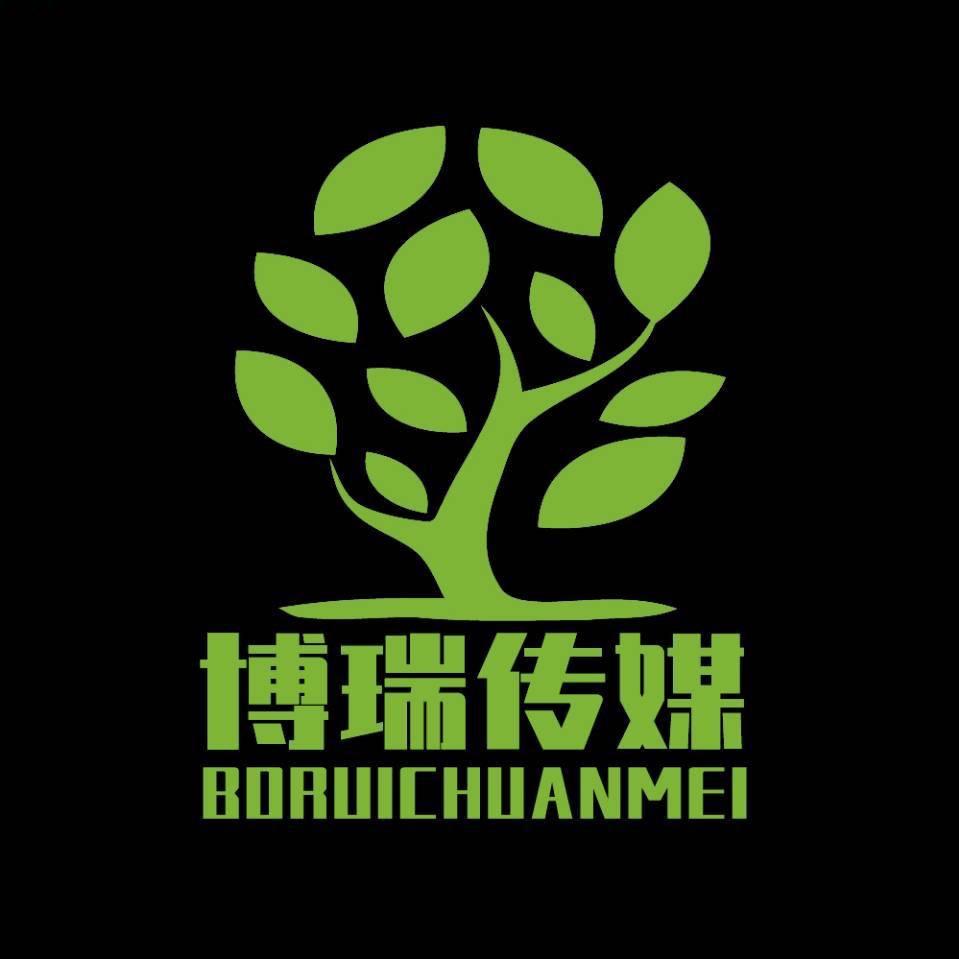 博瑞文化传媒