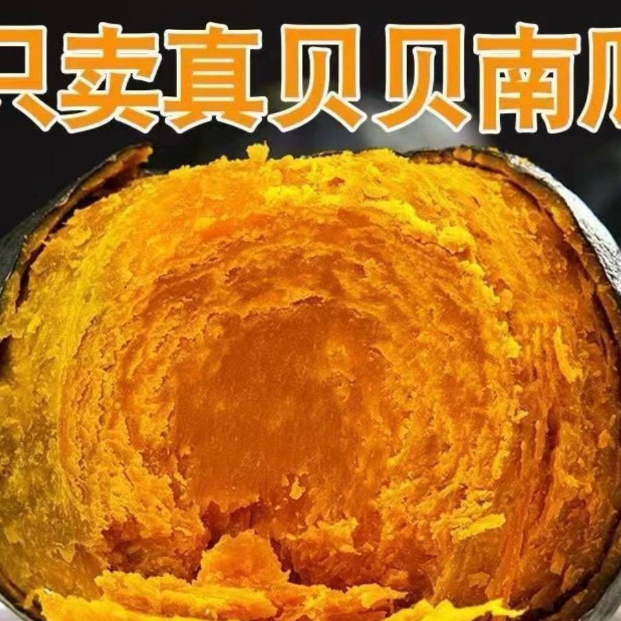沙地贝贝南瓜惠和1号农场