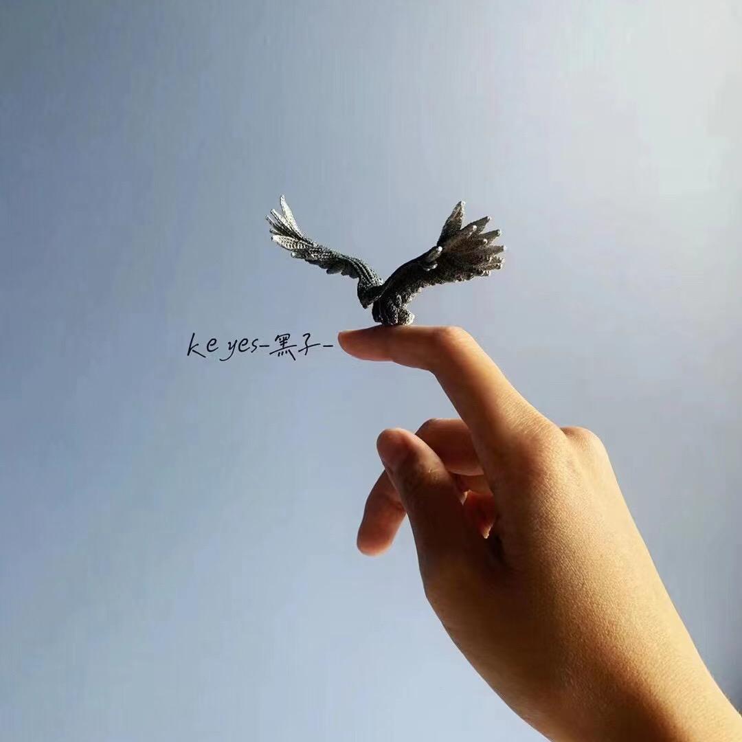 茶茶爱摔跤