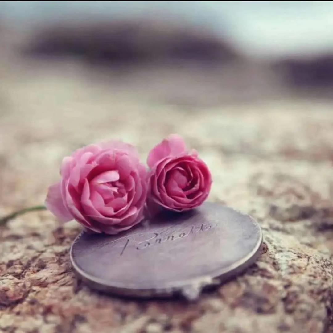 小林🌹☘️🍀🌱💫