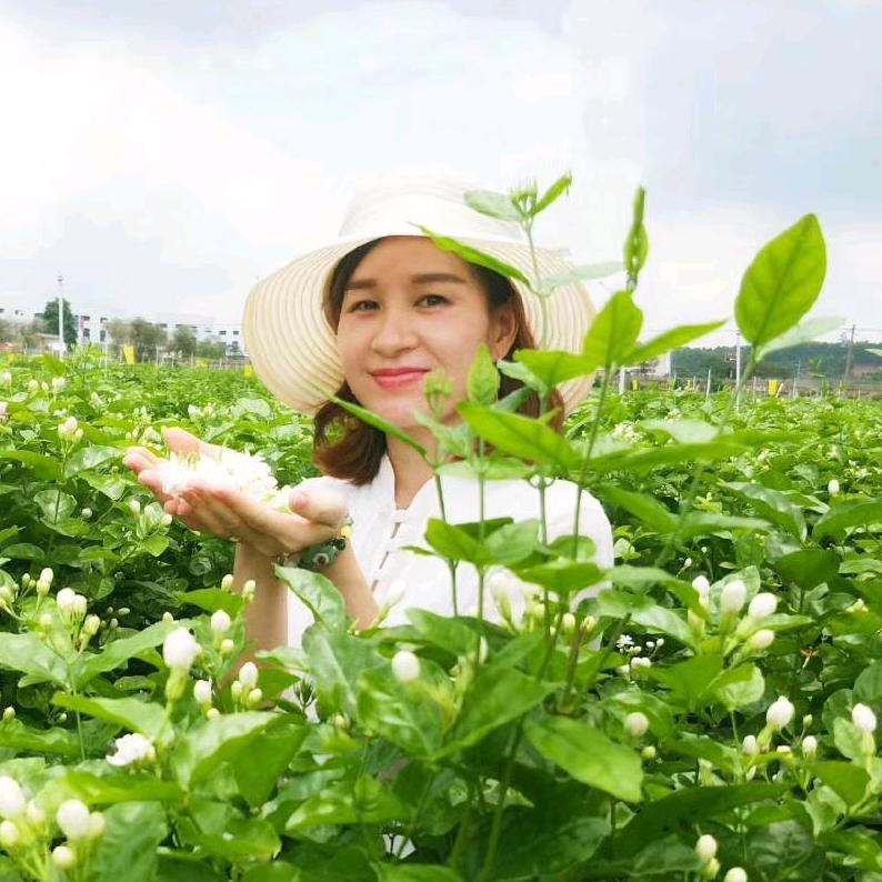 石井大妹