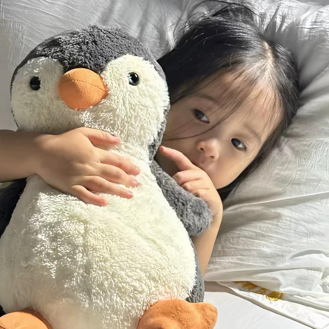 蛋卷大王💤