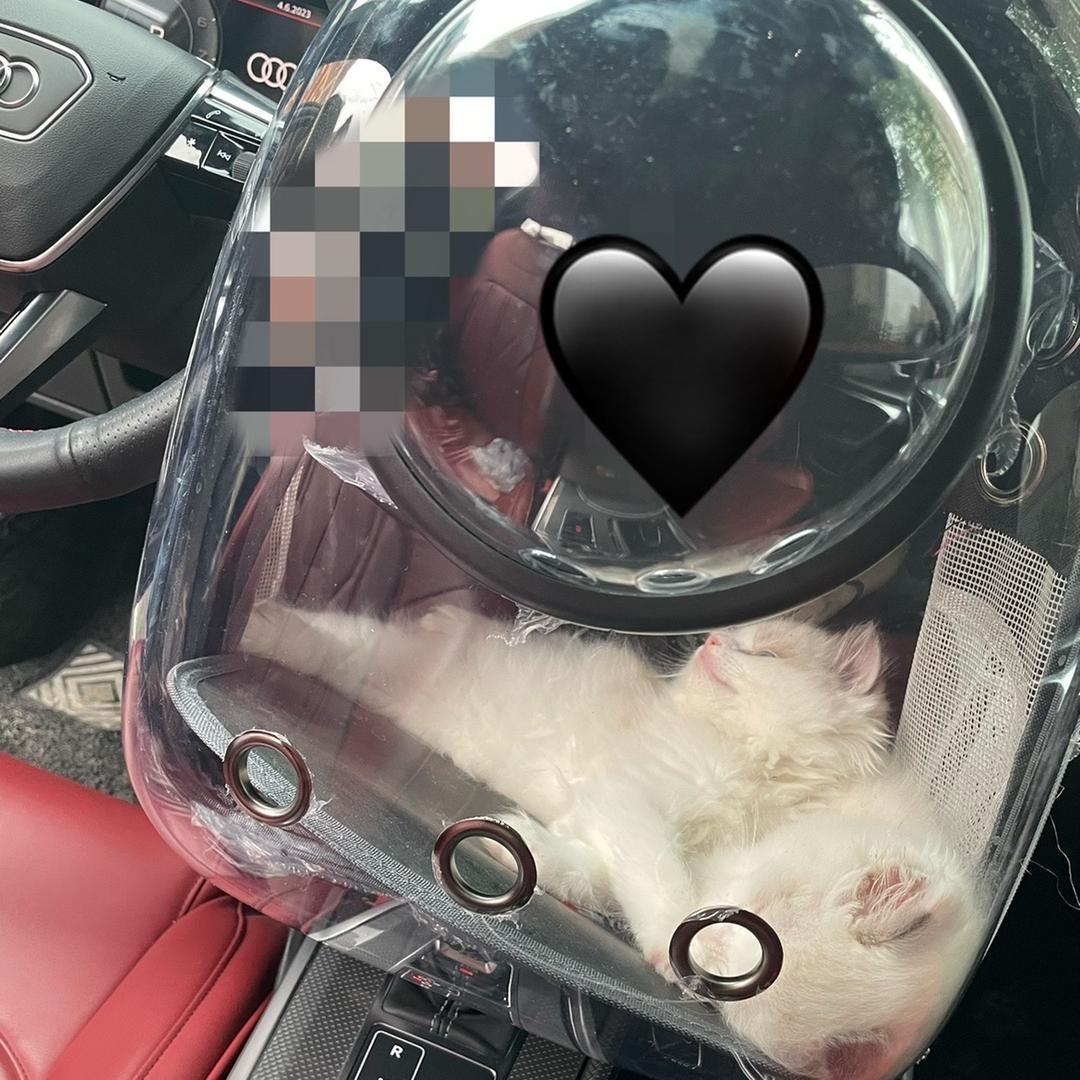 老牛❤️🦏❤️