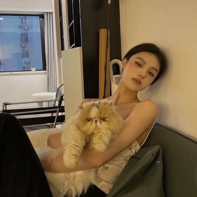 Z小姐❤️
