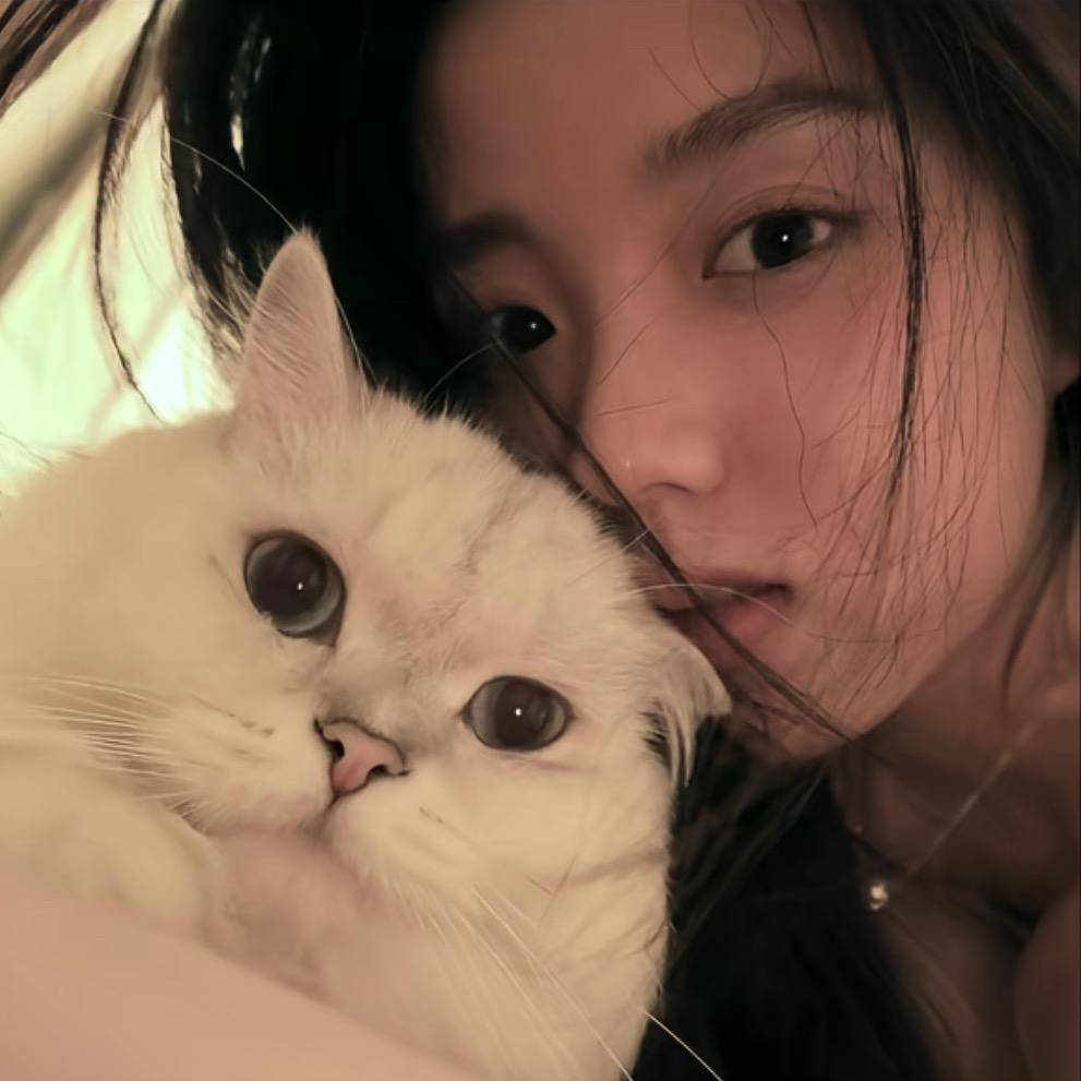 别吵我睡觉.💤