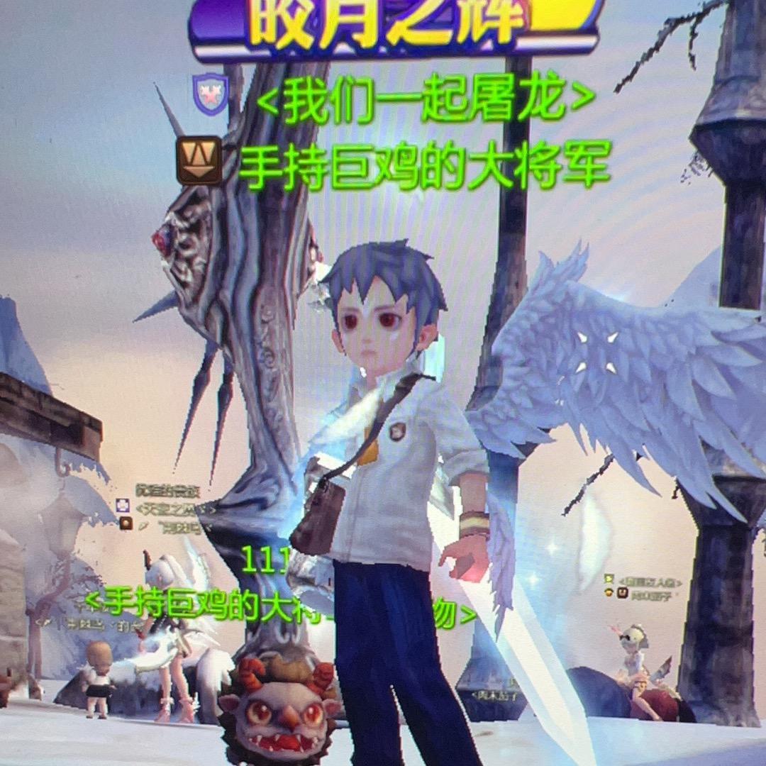 龙之谷巨鸡【yoyo金团】