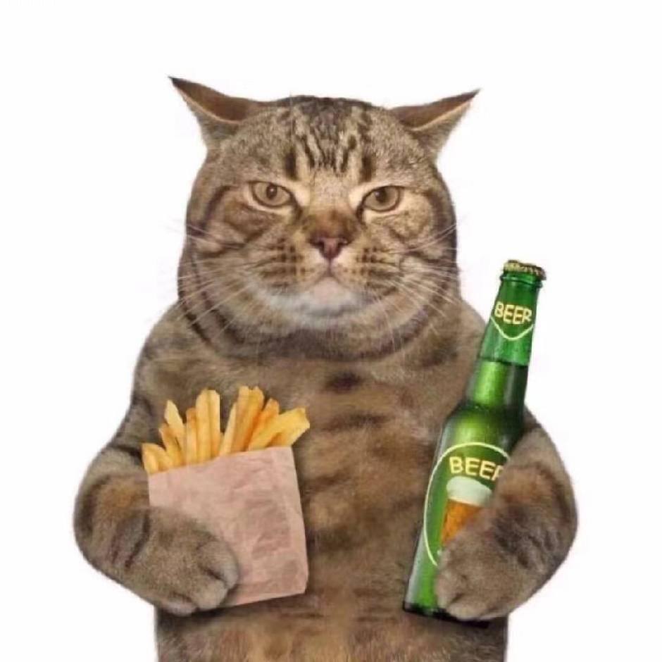 猫朋友（福家）