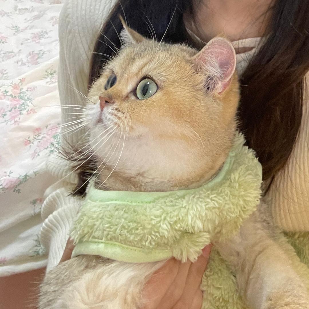 公主小咪🐈