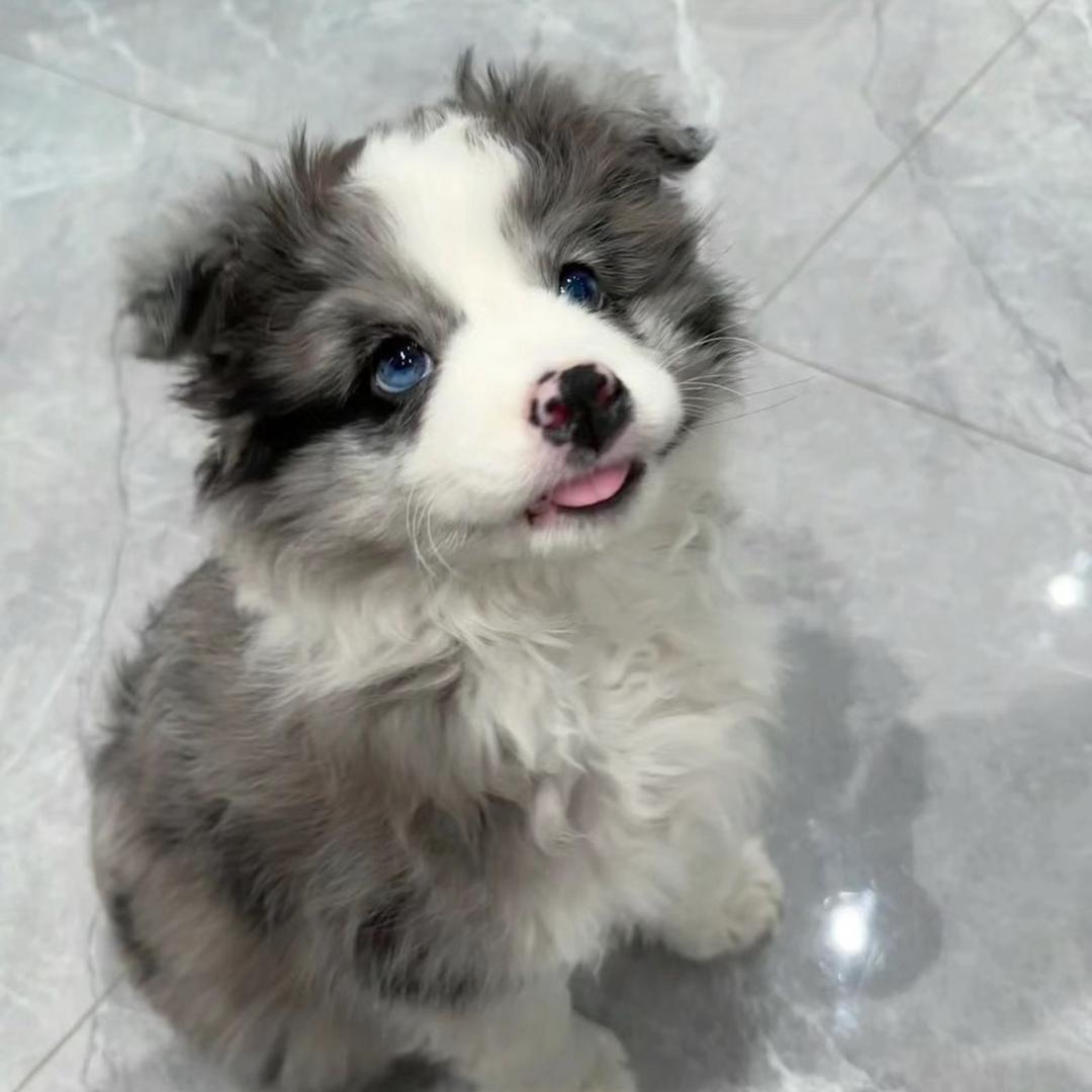陈一冰美拍