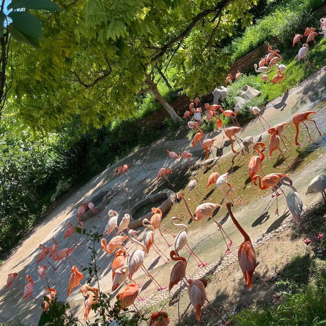 ☁️ 微醺ঞৣঁ