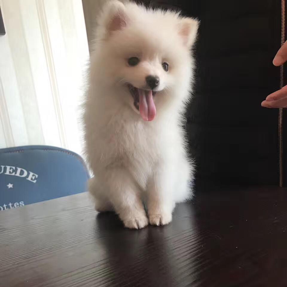 人生如梦