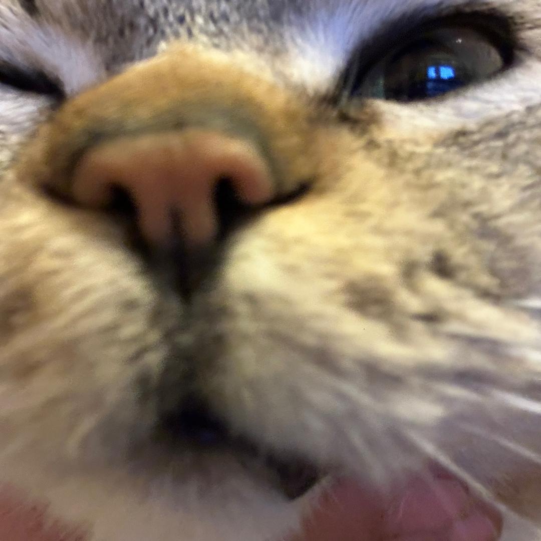 1747