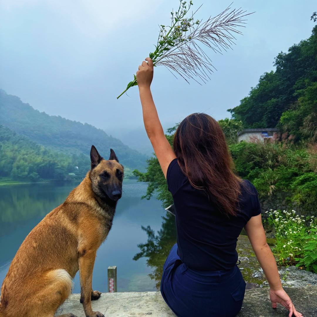 宠之家-寄养培训