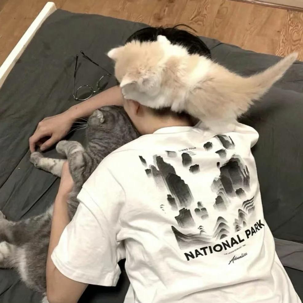 涩会的三更