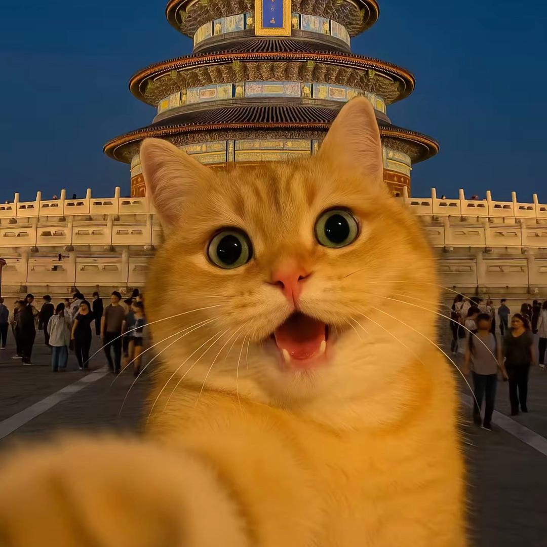 🌈手可摘星辰