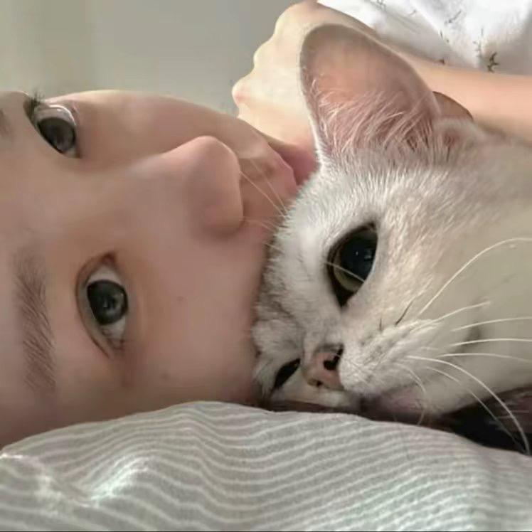 脏鱼鹤.