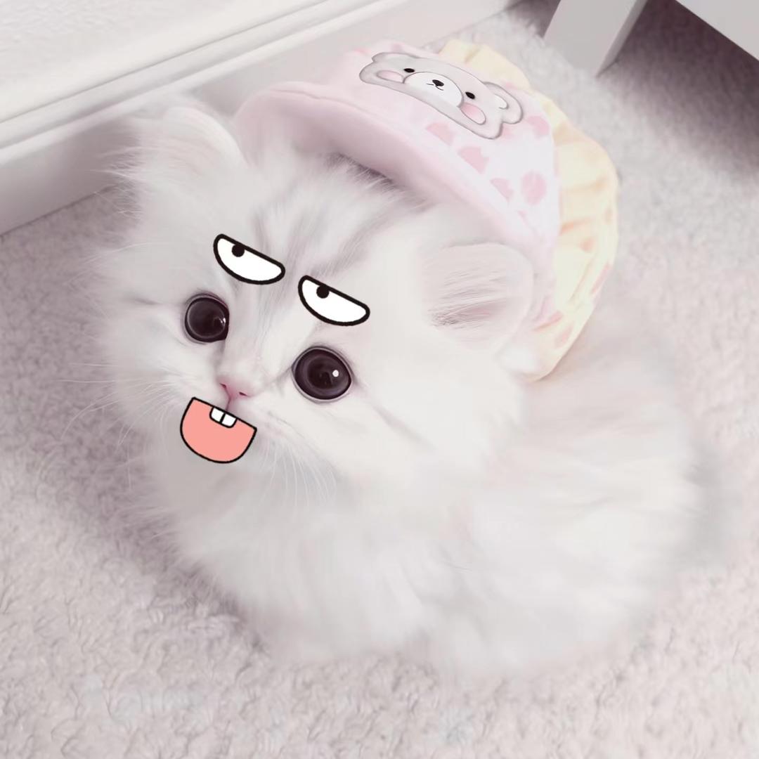 C彻（见过汪苏泷版）