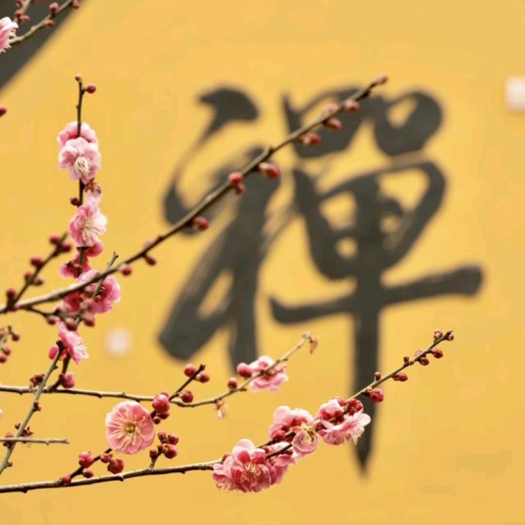 普善师傅