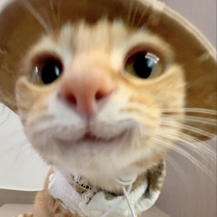 开心土豆番茄汤