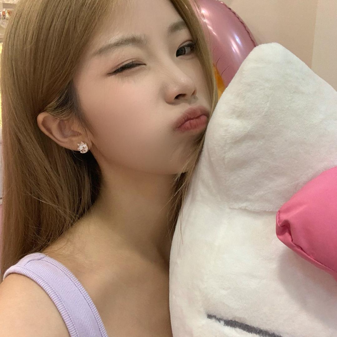 考拉爱睡觉