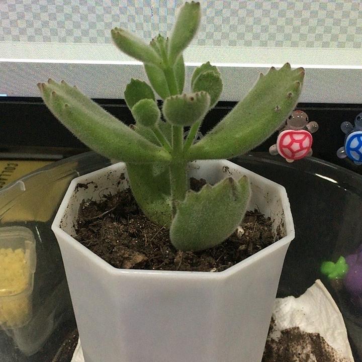 慧暖臻选科技铺