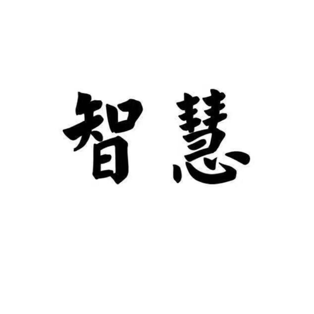 智慧人生