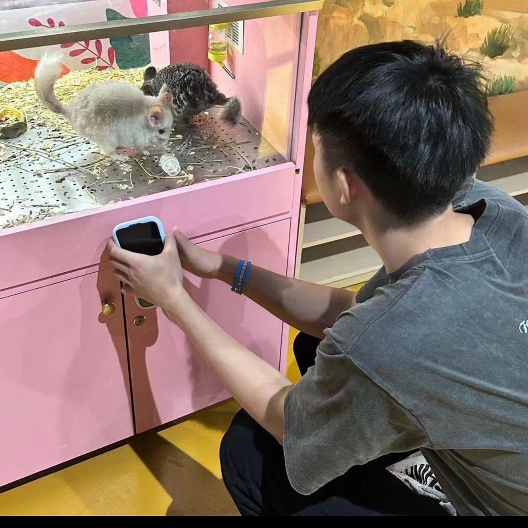小阳肖恩🐑（增肌增重版）
