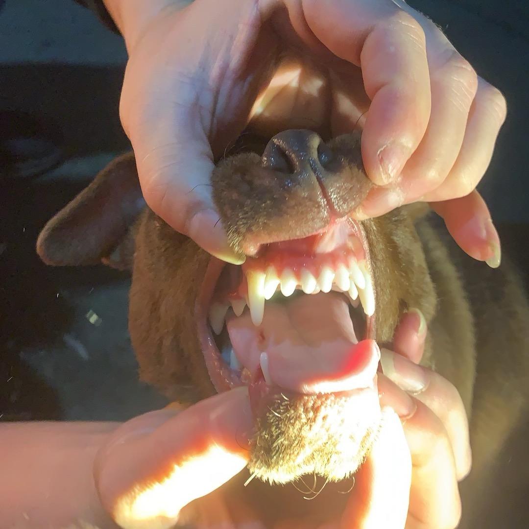 ༄ღ᭄爬山的爷ꪟ☄࿐