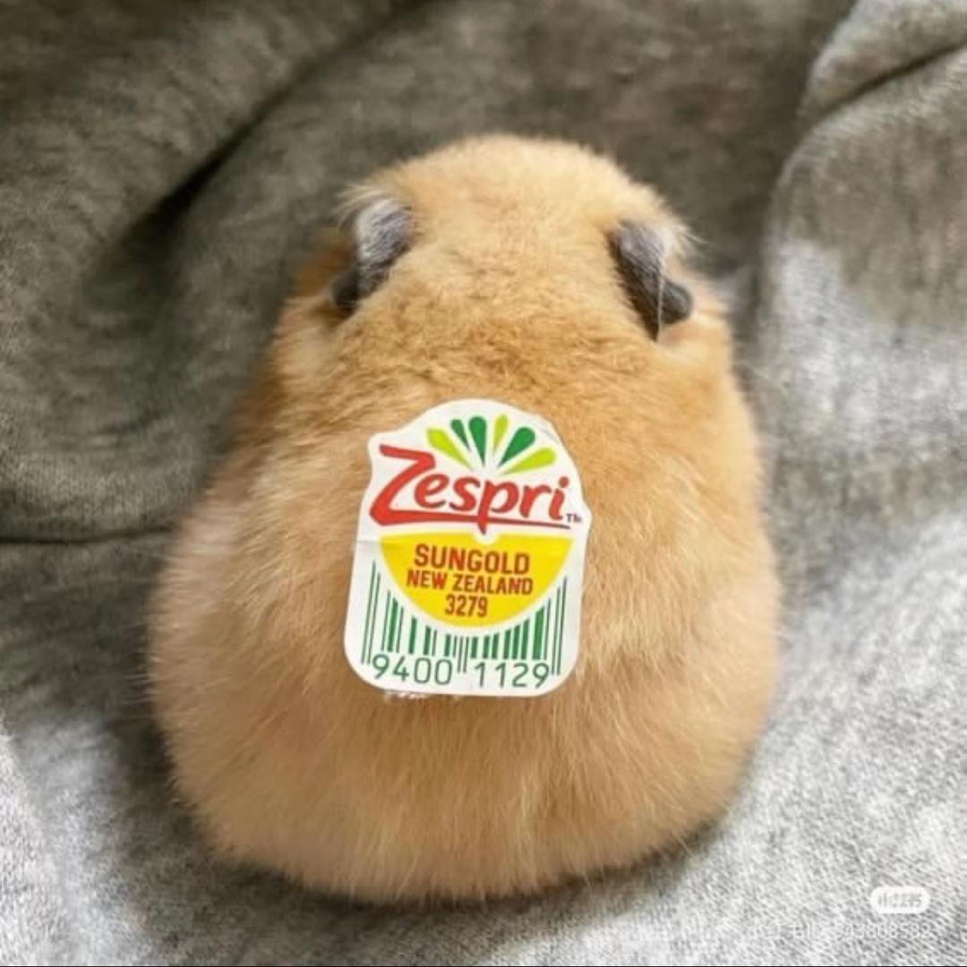 豆腐🧊加綠豆🌙