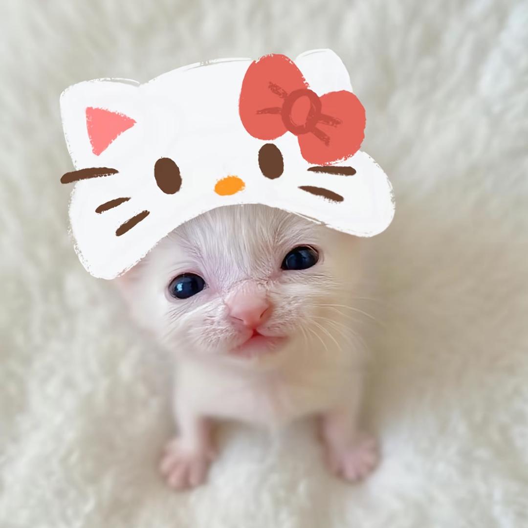 恣意.