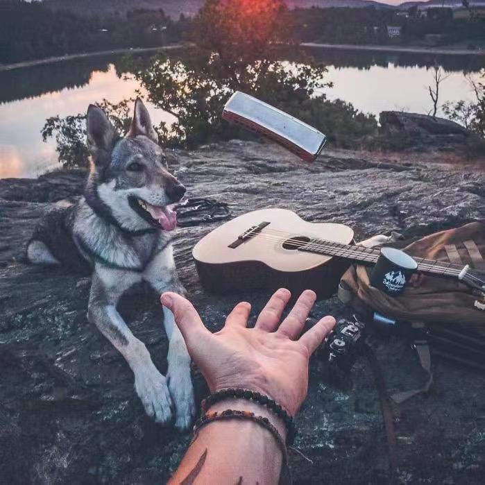 𝓣𝒆𝒒𝒖𝒊𝒍𝒂