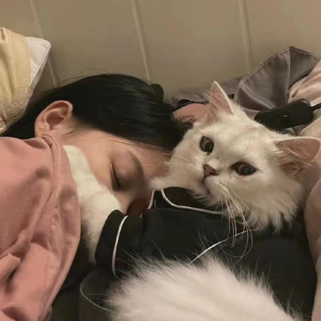 单曲循环¹¹