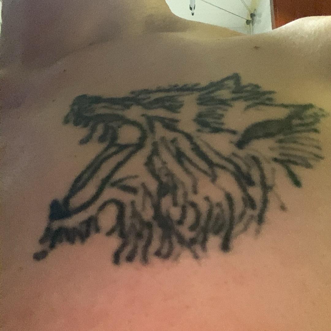狼🐺道