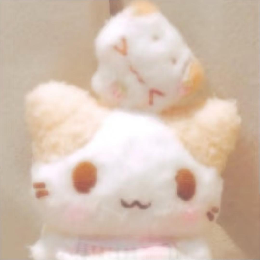 小猫_