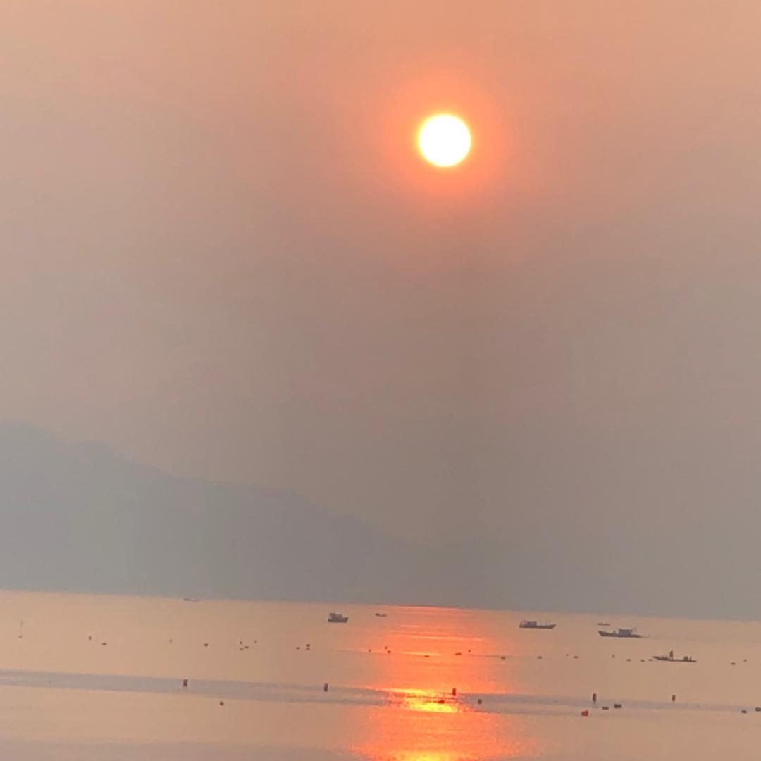 杨兄