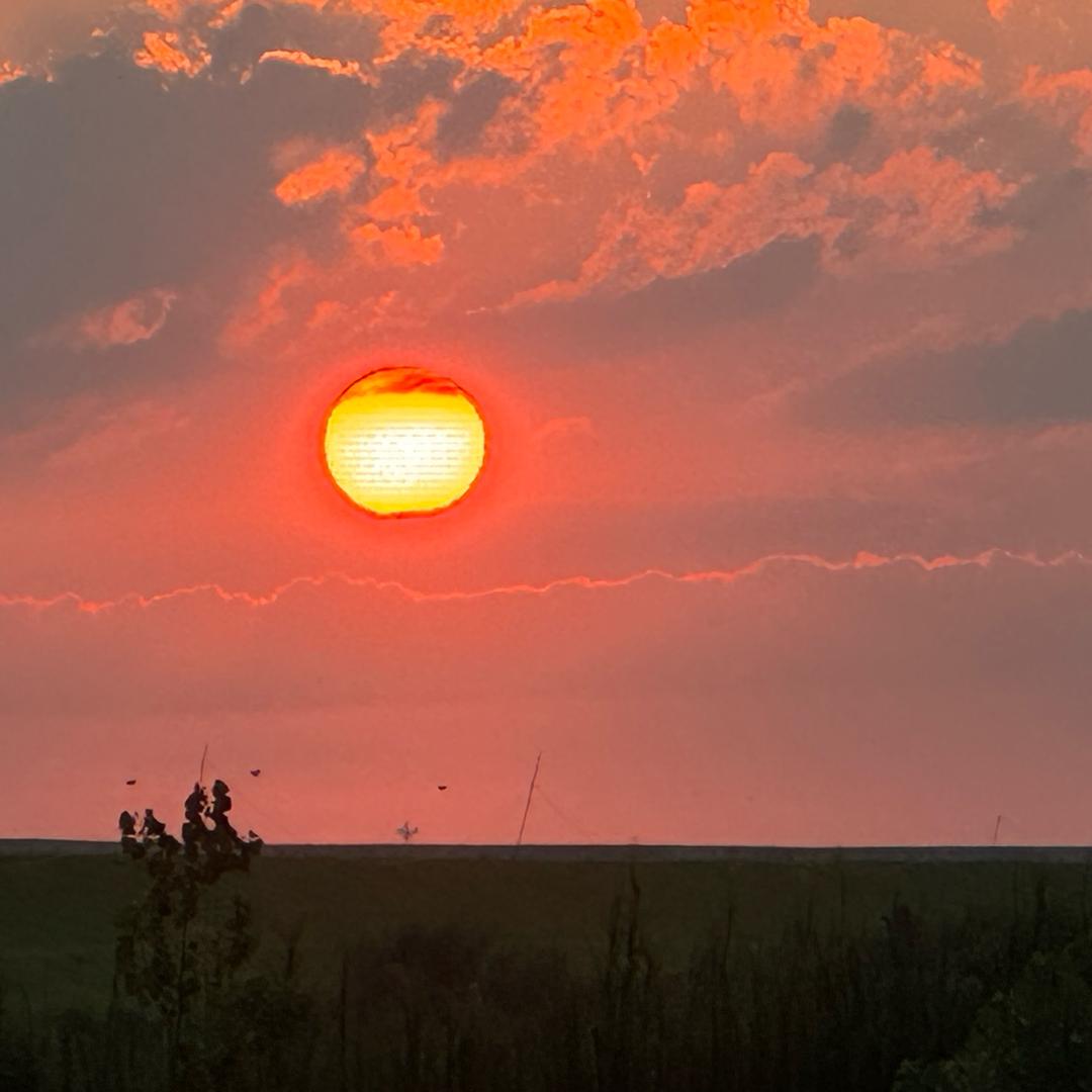 灵魂已嫁麦克斯韦