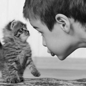 东方树叶有点苦