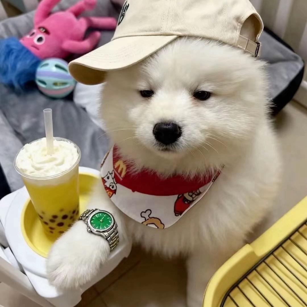 壹