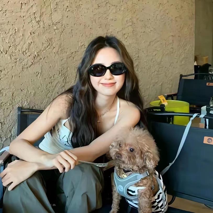 玩具总动员系列