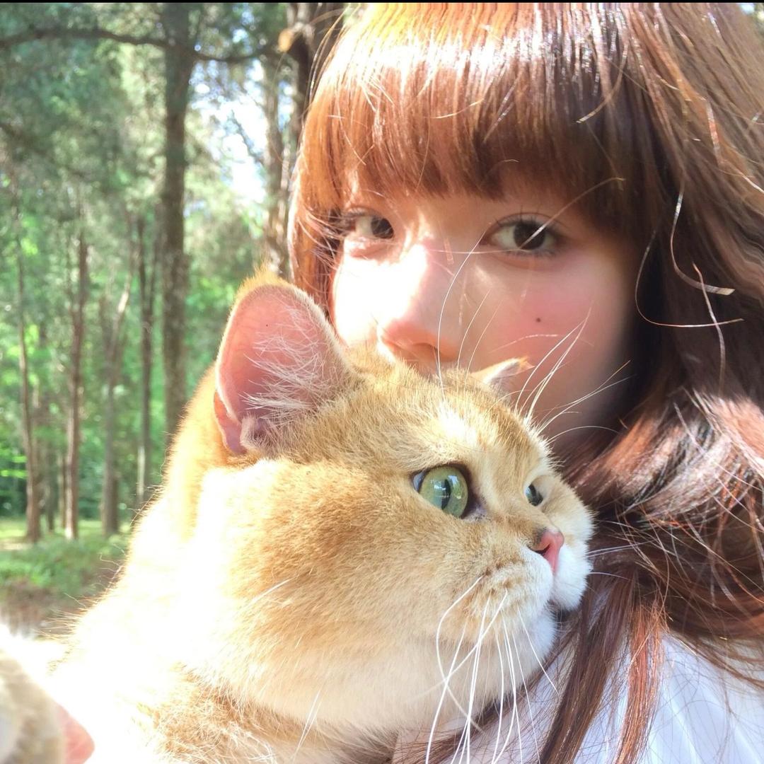 小柳吃不了芒果🥭