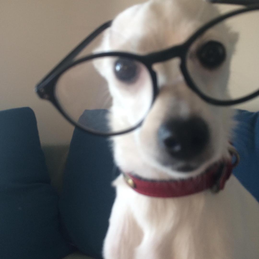 丸总（接闲置）