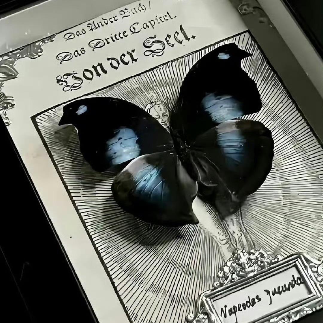 一运水晶官方号