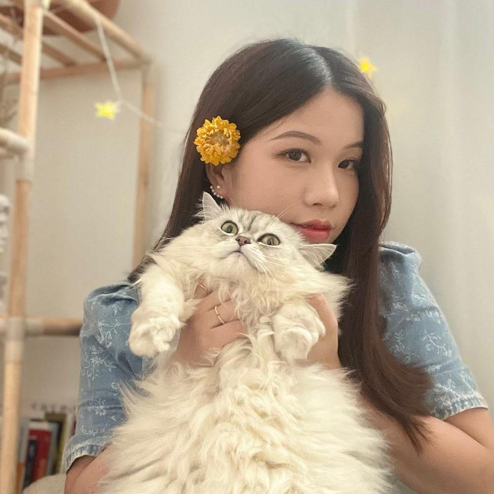 小雪养猫狗（孕期版）